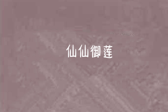 仙仙御蓮 仙仙御蓮