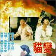 貓變 貓變