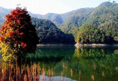 江蘇南山國家森林公園(南山國家森林公園)