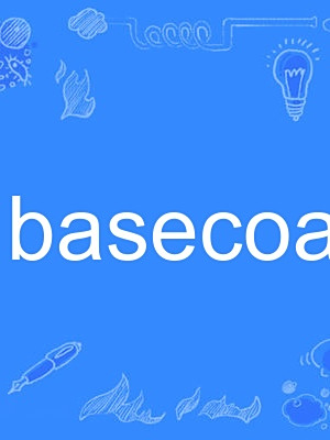 basecoat basecoat