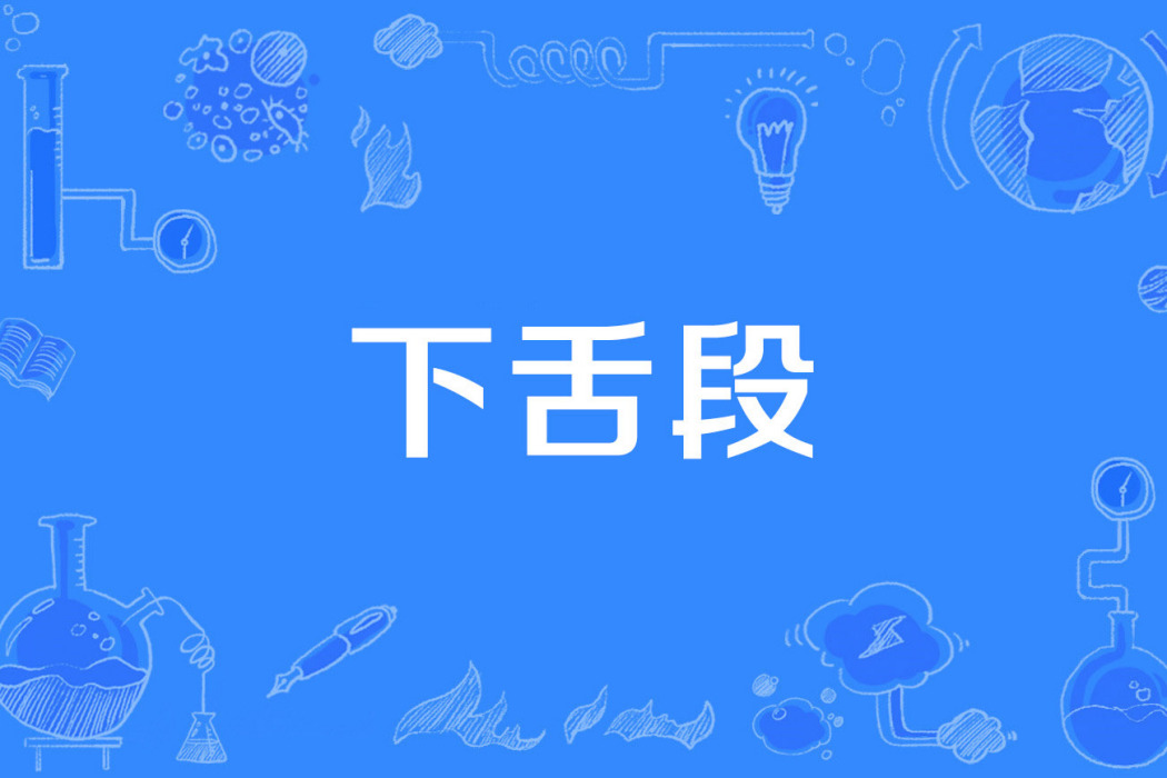 下舌段 下舌段