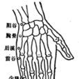 前谷穴 前谷穴