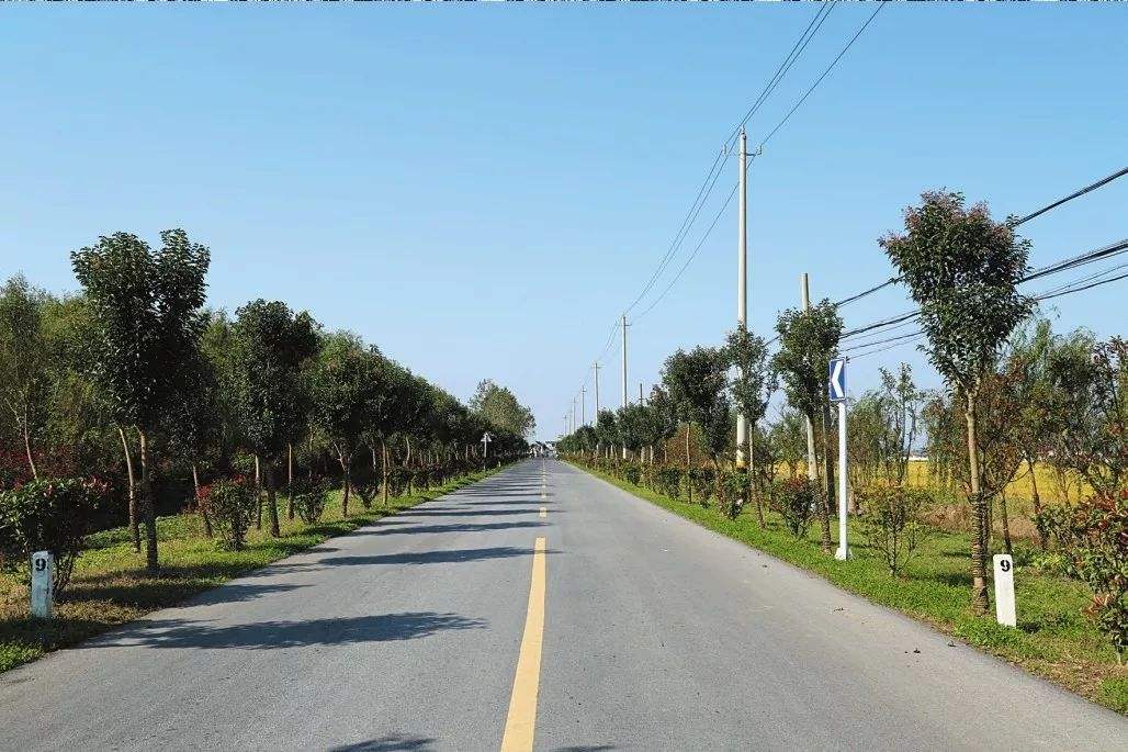 伊寧縣農村公路