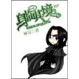 [HP]身臨其境