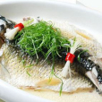 丁貴魚 丁貴魚