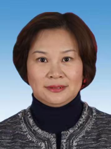 劉琳(天津市河西區陳塘莊街道黨工委書記) 劉琳(天津市河西區陳塘莊街道黨工委書記)