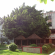 永紅村(廣東省佛山市禪城區祖廟街道永紅村) 永紅村(廣東省佛山市禪城區祖廟街道永紅村)