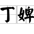 丁婢 丁婢
