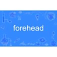 forehead forehead