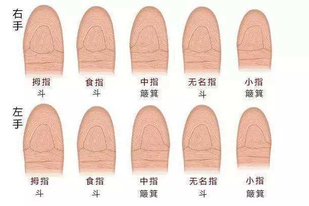 指紋排序 指紋排序