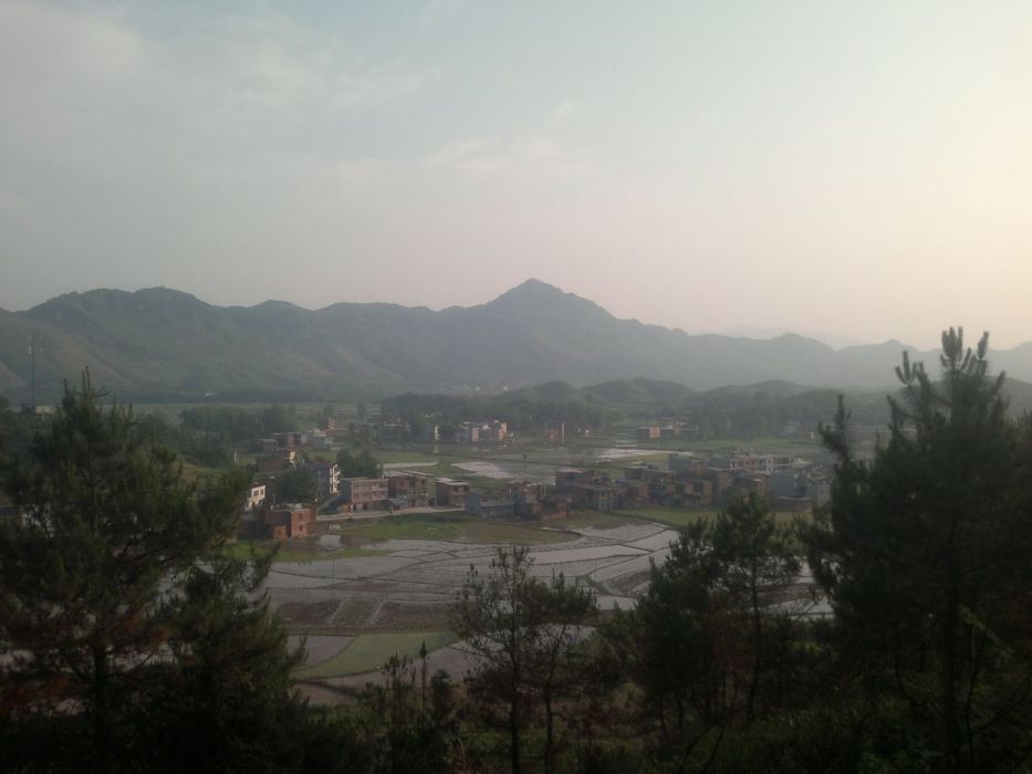 中羅村(湖北省黃石市陽新縣洋港鎮中羅村) 中羅村(湖北省黃石市陽新縣洋港鎮中羅村)
