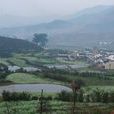 官坑村(浙江省雲和縣雲和鎮官坑村) 官坑村(浙江省雲和縣雲和鎮官坑村)
