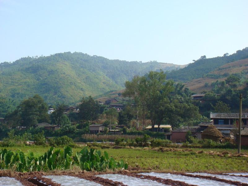 平寨三組村