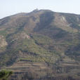 呂家溝村(山東省煙臺市福山區高疃鎮下轄村) 呂家溝村(山東省煙臺市福山區高疃鎮下轄村)