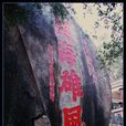李增霨 李增霨