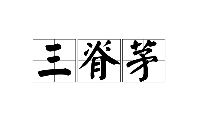 三脊茅 三脊茅