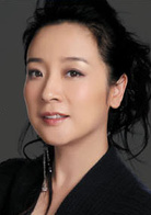 新不了情(2006年陳坤、薛凱琪主演電視劇)