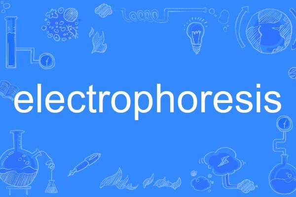 electrophoresis electrophoresis
