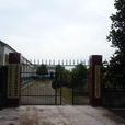 正覺村(安徽省馬鞍山市當塗縣年陡鎮轄村) 正覺村(安徽省馬鞍山市當塗縣年陡鎮轄村)