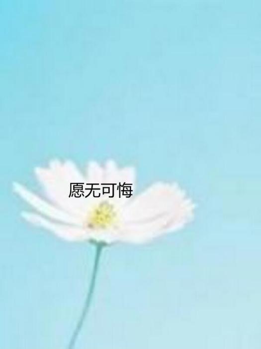 願無可悔 願無可悔