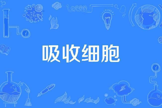 吸收細胞 吸收細胞