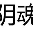 陰魂(詞語解釋) 陰魂(詞語解釋)