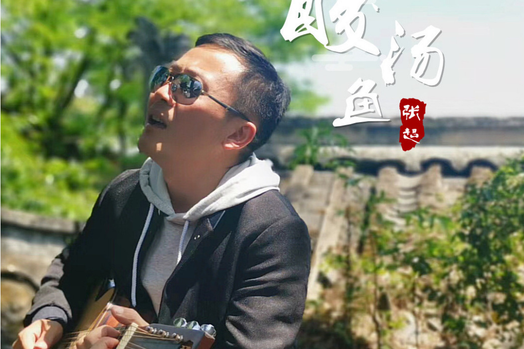 酸湯魚(張超演唱的歌曲) 酸湯魚(張超演唱的歌曲)