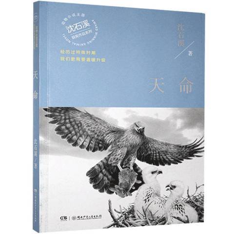 天命(2021年湖南少年兒童出版社出版的圖書) 天命(2021年湖南少年兒童出版社出版的圖書)