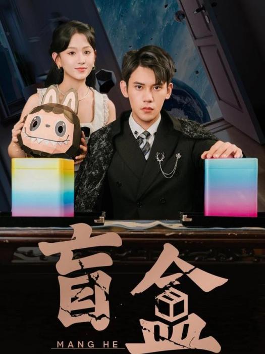 盲盒(徐浩楠、高琳琳主演的網路劇) 盲盒(徐浩楠、高琳琳主演的網路劇)