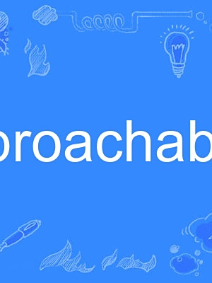 approachability approachability