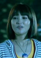 大人物(2011年譚華執導電影)