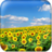 Sunflower Wallpaper