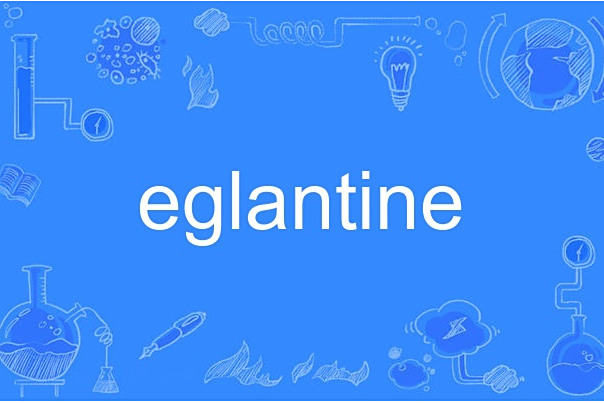 eglantine(英語名詞，指野薔薇的一種植物)