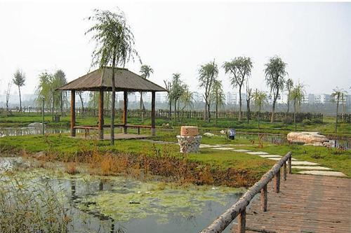 太原濕地公園 太原濕地公園