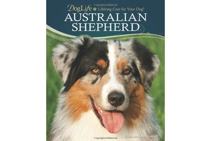 Australian Shepherd Australian Shepherd