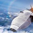X-51A飛行器(X-51) X-51A飛行器(X-51)