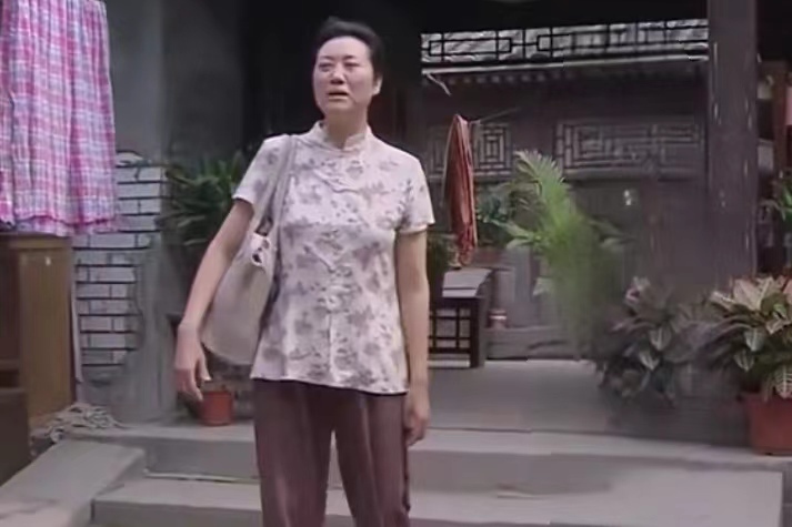 趙雅琴(情感劇《錯婚》中的角色) 趙雅琴(情感劇《錯婚》中的角色)