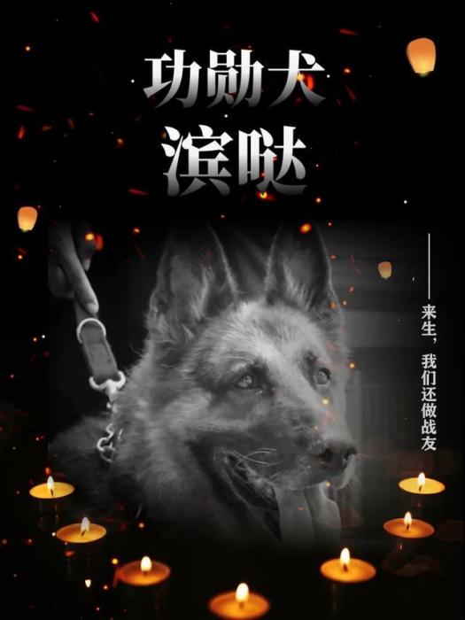 濱噠 濱噠