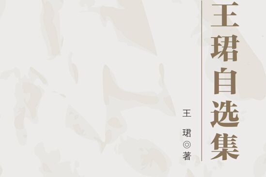 王珺自選集 王珺自選集