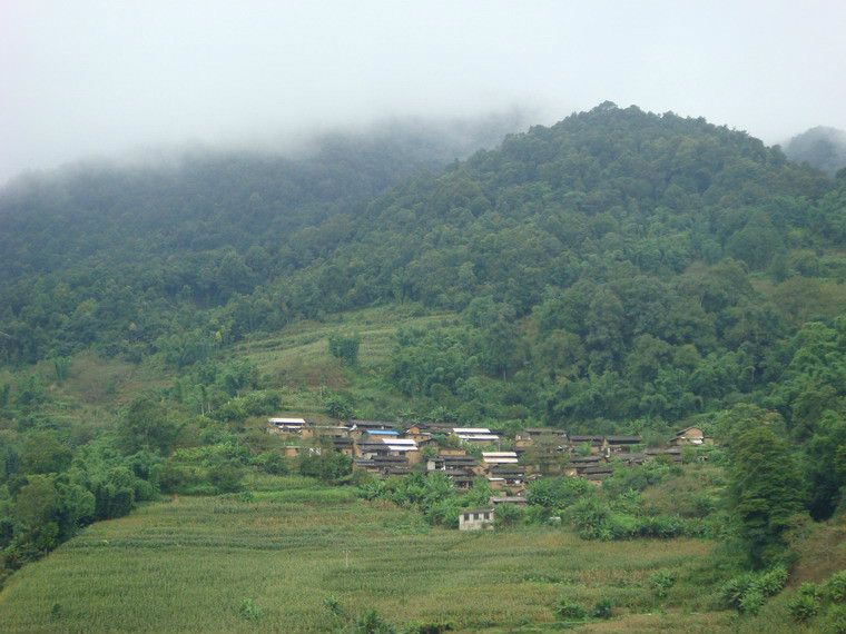 老糯租村 老糯租村