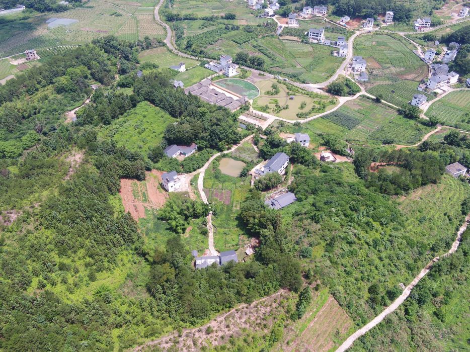 高排村(江西省尋烏縣南橋鎮下轄村) 高排村(江西省尋烏縣南橋鎮下轄村)