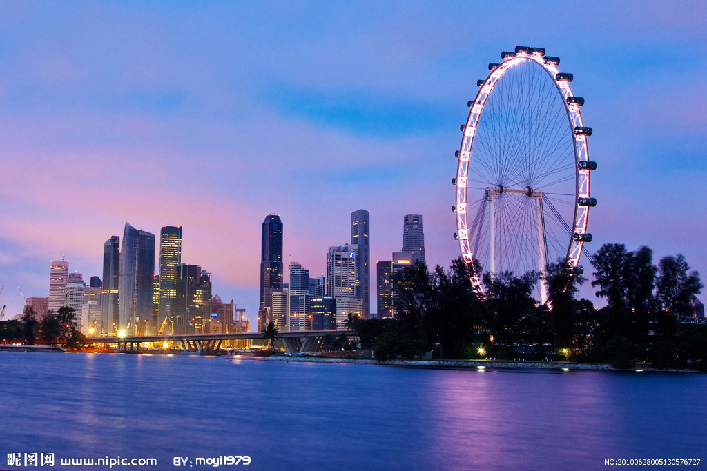 新加坡摩天觀景輪夜景