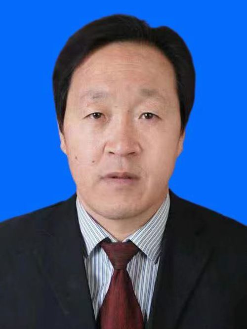 馬俊傑(陝西省渭南市白水縣人民政府黨組成員) 馬俊傑(陝西省渭南市白水縣人民政府黨組成員)