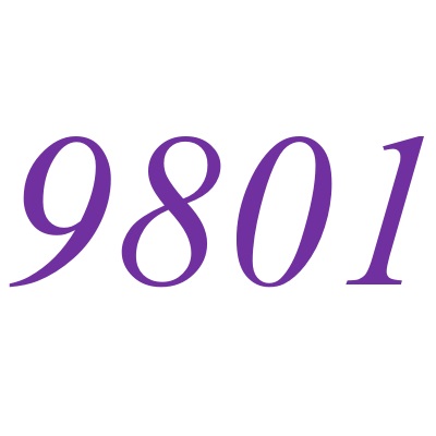 9801(自然數之一)