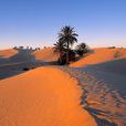撒哈拉沙漠(世界面積最大的沙漠)