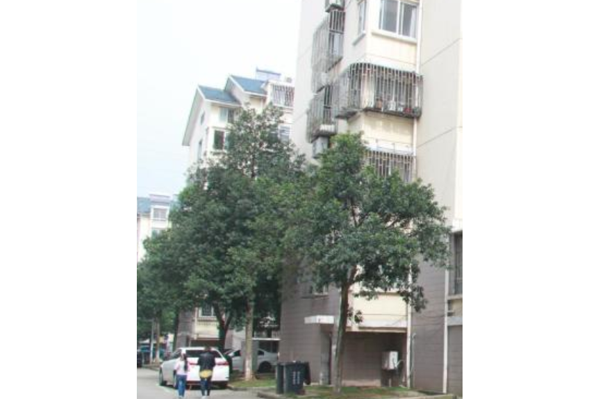 城西小區(長沙市城西小區) 城西小區(長沙市城西小區)