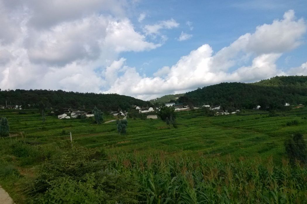 茨桶村 茨桶村
