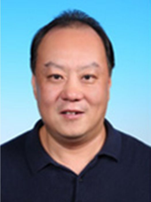 王超(湖北省黃岡市人民政府副市長)