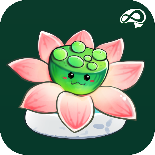 禪定花園 禪定花園