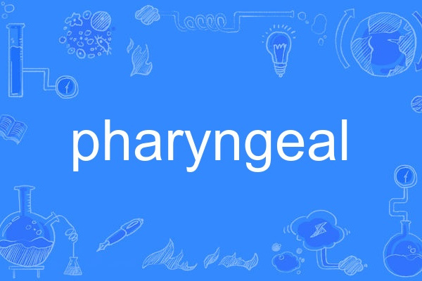 pharyngeal pharyngeal